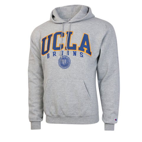 Ucla sales embroidered sweatshirt